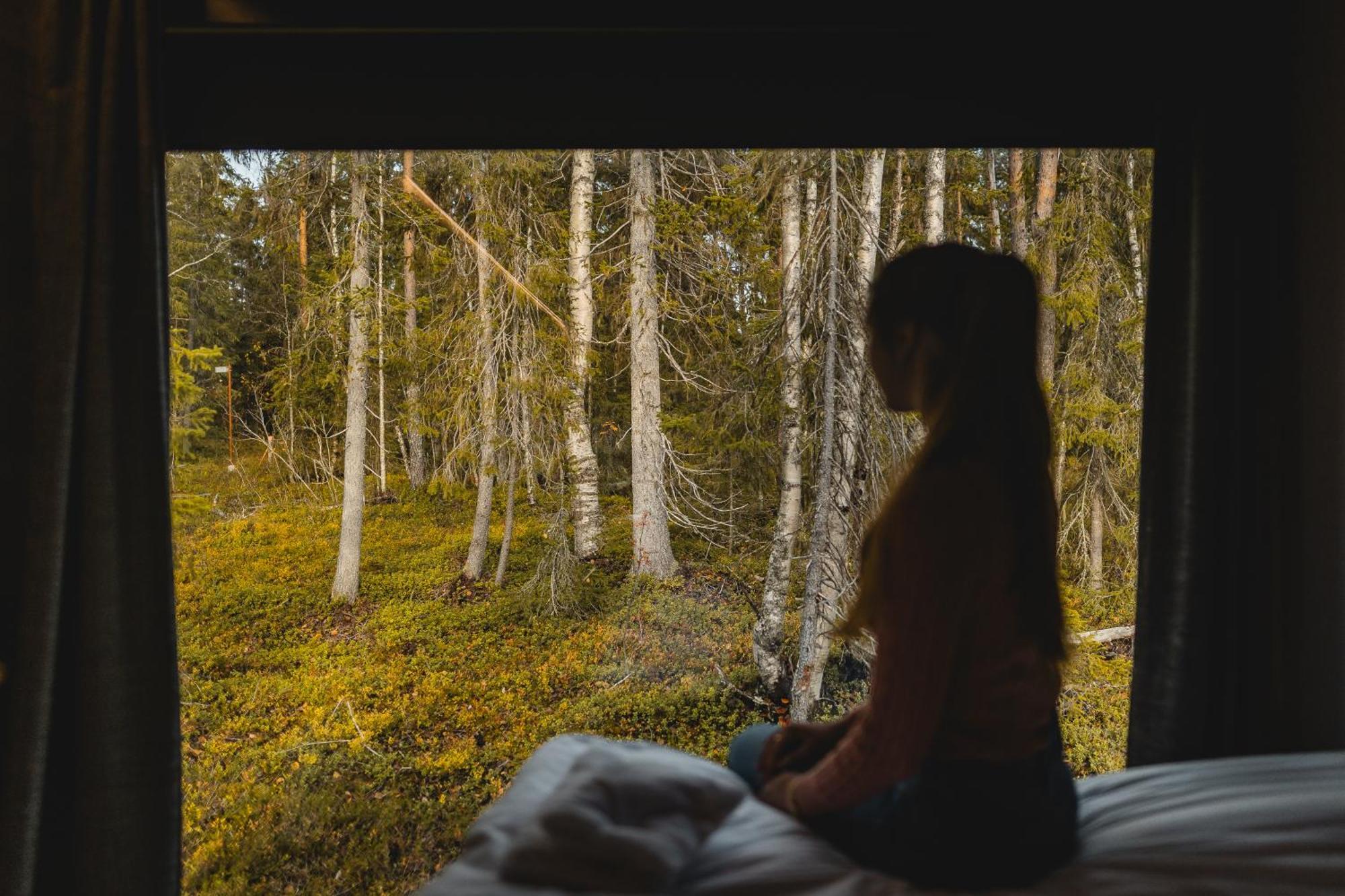 Vaattunki Wilderness Resort Рованиеми Екстериор снимка